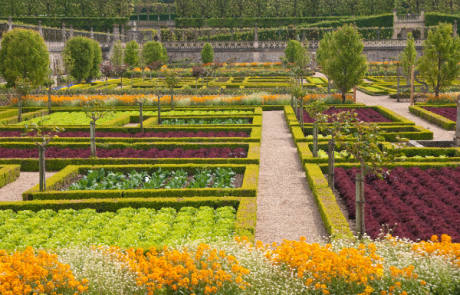 להפוך את הגינה הביתית לגן עדן: טיפים לעיצוב גינות קטנות