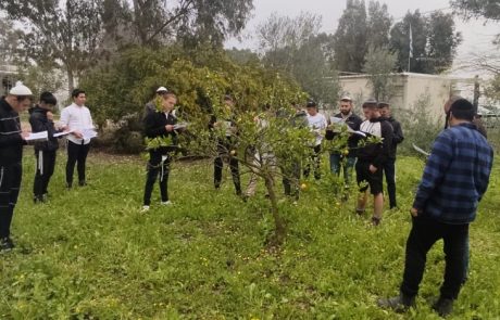 פתרונות וכלים לעבודה עם נוער מתמודד במגזר הדתי
