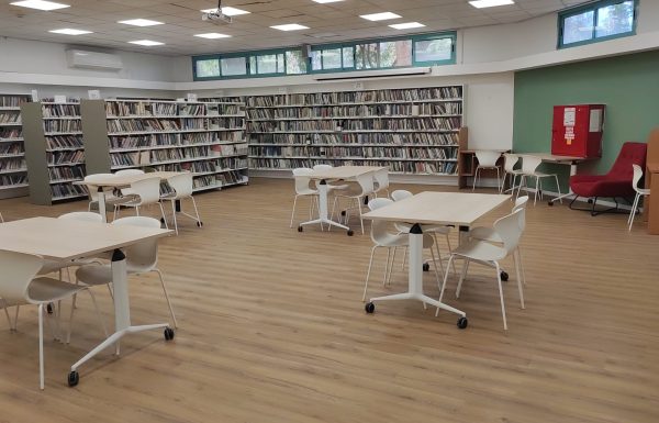 מודיעין ממשיכה לקרוא: חגיגת ספרים בספריות העיר