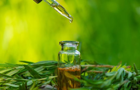 7 סגולות רפואיות של שמן עץ התה