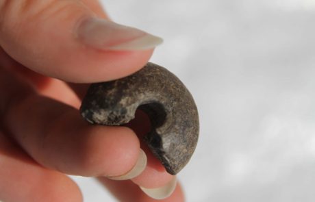 התושבים מוזמנים לחפור: בואו להיות ארכאולוגיים ליום אחד בגבעת התיתורה